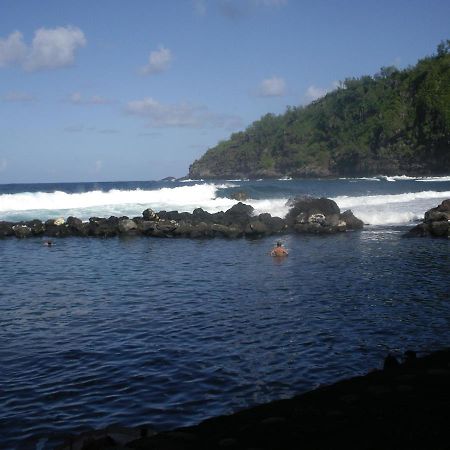 Case Creole Traditionnelle A Ossature Et Charpente Bois Petite Île Zewnętrze zdjęcie